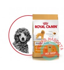 Royal Canin Caniche Adult x 3kg